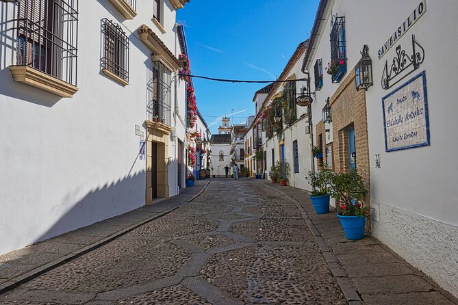 2 Days Cordoba with Mosque Ticket and Hotel Tour - Finding the quiet character of Cordovan patios