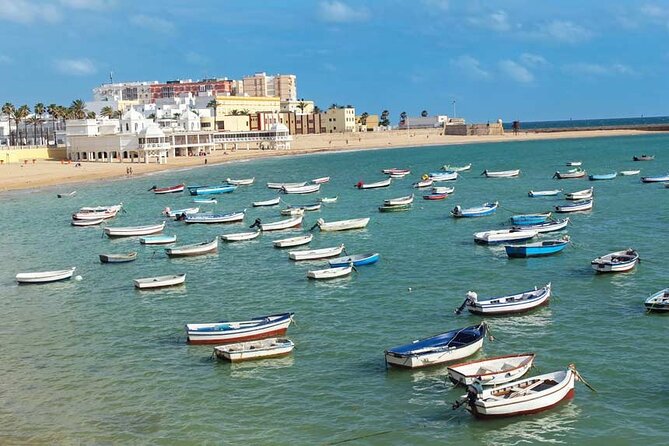2 Hours Tour around Cádiz: History, anecdotes and curiosities - Merchant streets and Casa Palacio de los Mora