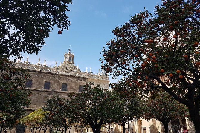 2h30 Private Walking Tour of Seville with Local Guide - What the private format adds