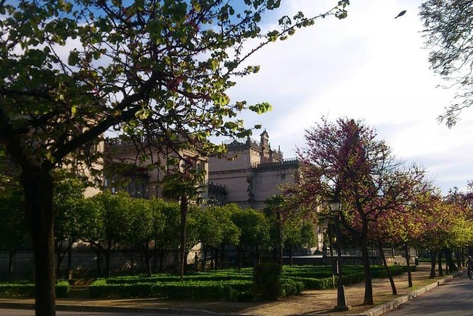 2h30 Private Walking Tour of Seville with Local Guide - The Royal Alcázar and layers of power