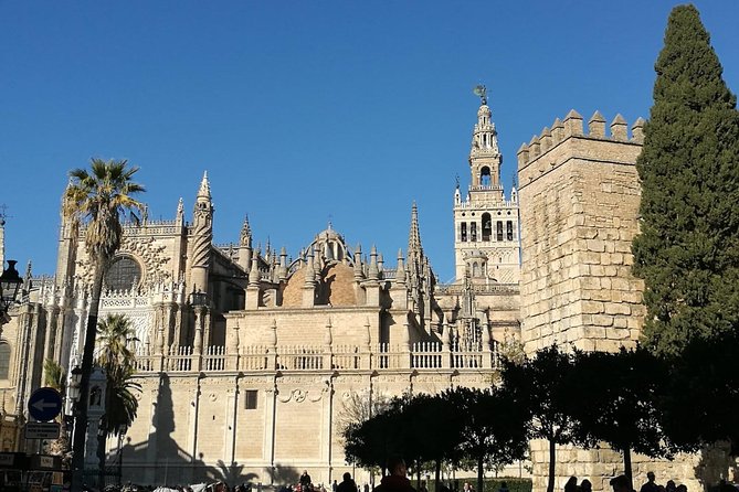 2h30 Private Walking Tour of Seville with Local Guide - The bullring and Seville’s public traditions