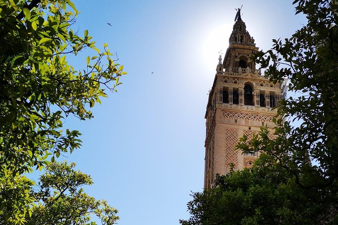 2h30 Private Walking Tour of Seville with Local Guide - The former tobacco factory