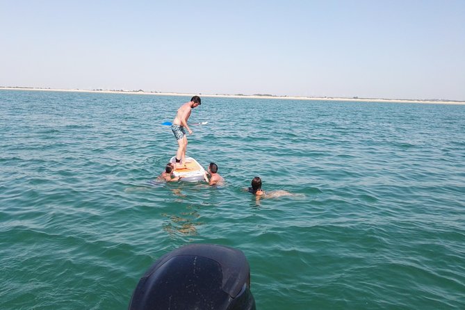 3-hour boat ride through the Bay of Cadiz - Crossing beneath the Constitution and Carranza bridges