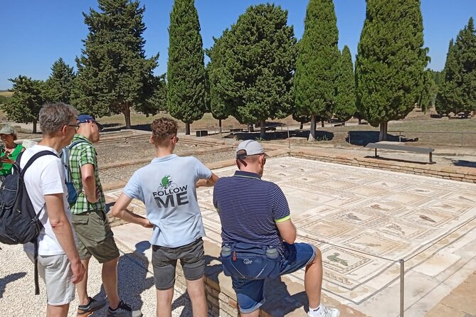 5 hour Electric Bike Tour to the Ruins of Italica - Why Italica makes this bike trip worthwhile