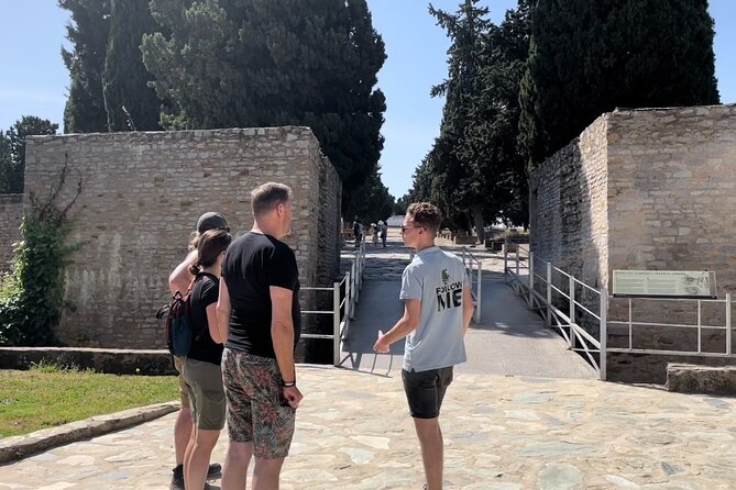 5 hour Electric Bike Tour to the Ruins of Italica - Santiponce: a short break before the ruins