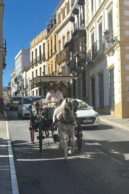 ab Marbella: Private VIP-Tour Ronda incl. Transfer + Tapas - Why a private trip makes sense for Ronda