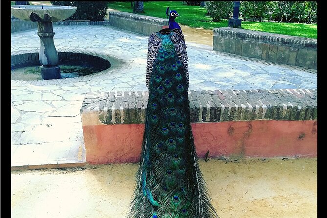 Alcazar and Cathedral of Seville Private Tour - Tickets, meeting points, and pickup details