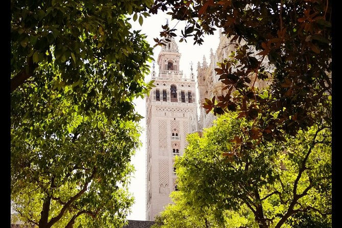 Alcazar and Cathedral of Seville Private Tour - Moving from palace power to cathedral scale