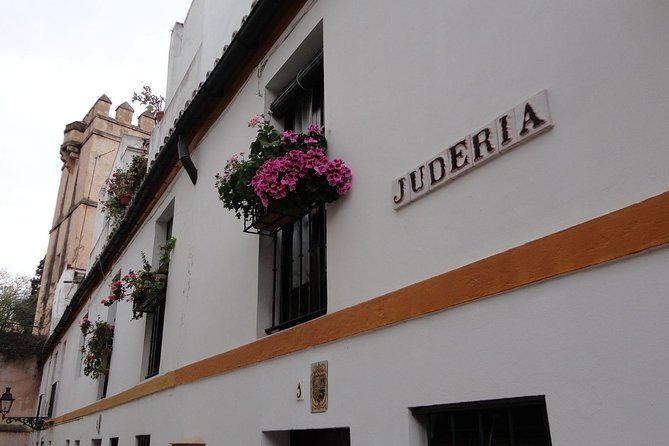 Alcázar and Jewish Quarter Guided Walking Tour in Seville - Santa Cruz, from royal district to Jewish quarter