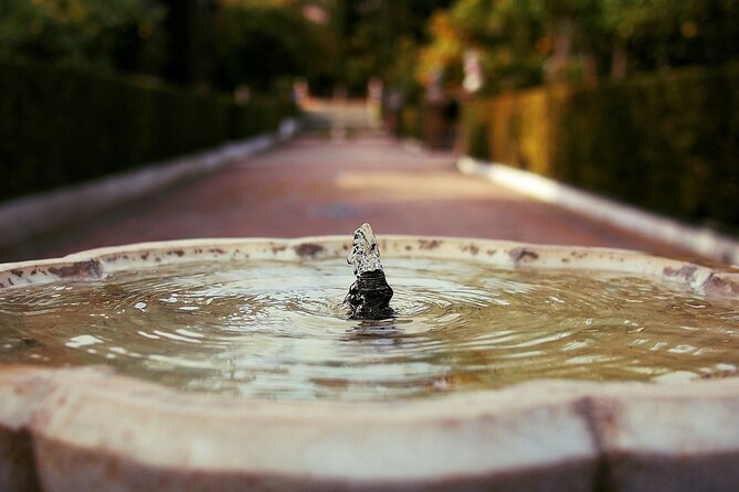 Alcazar & Cathedral of Seville Private Guided Tour - The guide can make or break the visit