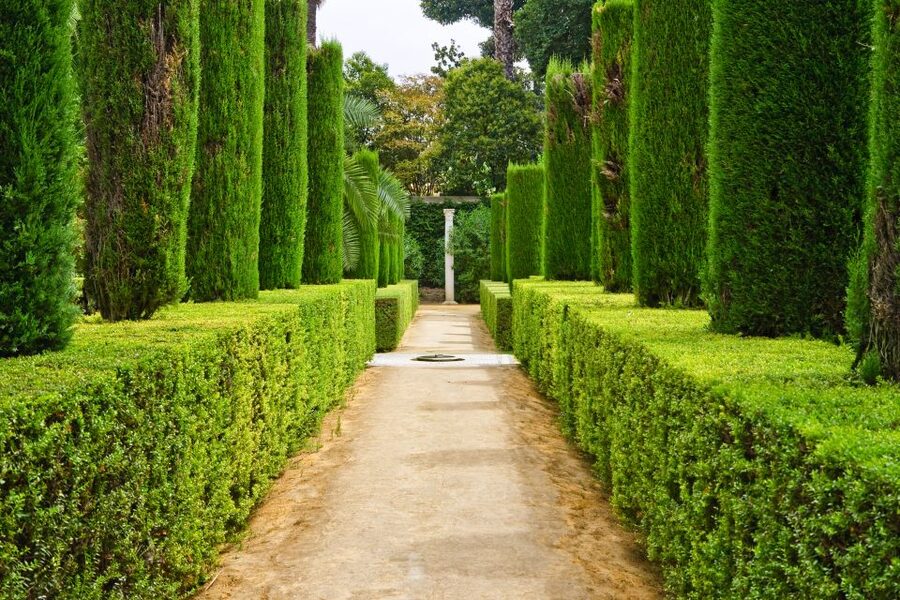 Alcazar of Seville VIP Tour - Inside a palace shaped by several cultures