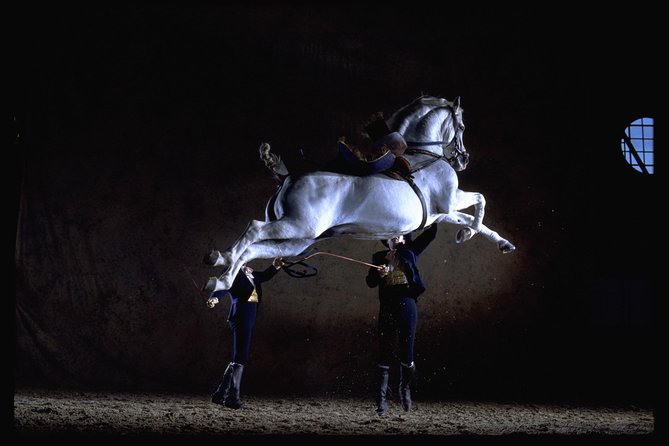 Andalusian Horses Dance Show - Key points before you book