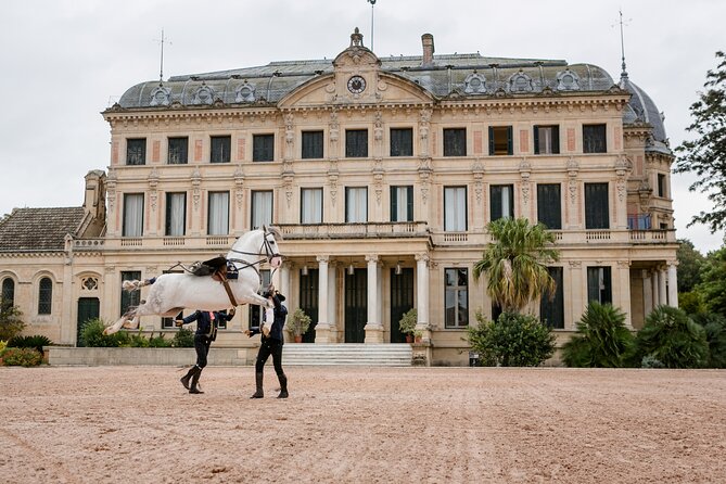 Andalusian Horses Dance Show - Why the Andalusian horses are the main event