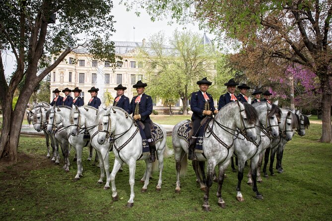 Andalusian Horses Dance Show - Work in hand reveals the horse’s training