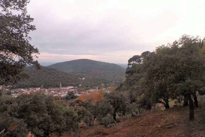 Aracena & Riotinto Mines Tour from Seville - Seeing Riotinto’s red mining country