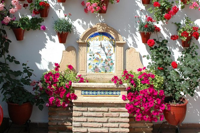 Authentic Patios of Cordoba Guided Tour - What the guide adds that a self-guided visit does not