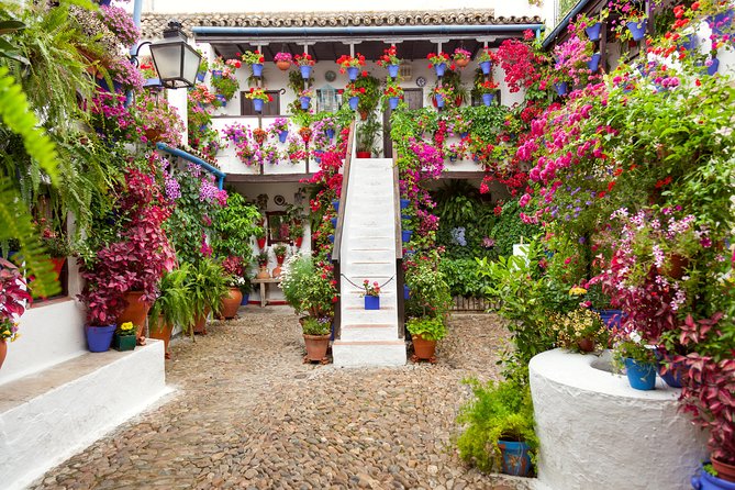 Authentic Patios of Cordoba Guided Tour - The $21.60 price and what you receive