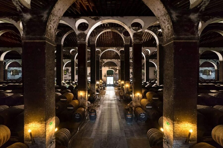 Barbadillo Winery Guided Tour in Cadiz with Wine Tasting - Key points to know before booking