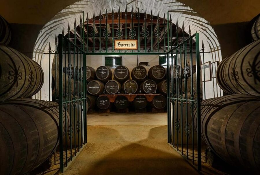 Barbadillo Winery Guided Tour in Cadiz with Wine Tasting - Why Sanlúcar is the right place to learn about Manzanilla