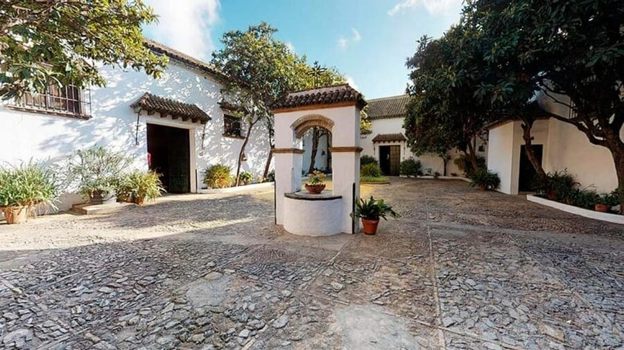 Barbadillo Winery Guided Tour in Cadiz with Wine Tasting - Seeing how Manzanilla is made