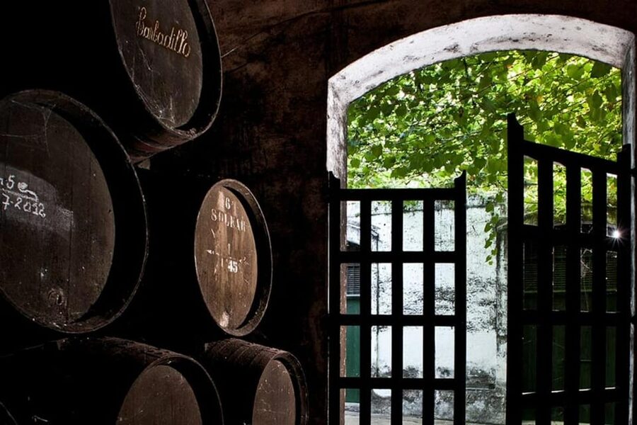 Barbadillo Winery Guided Tour in Cadiz with Wine Tasting - Entering the Manzanilla Museum