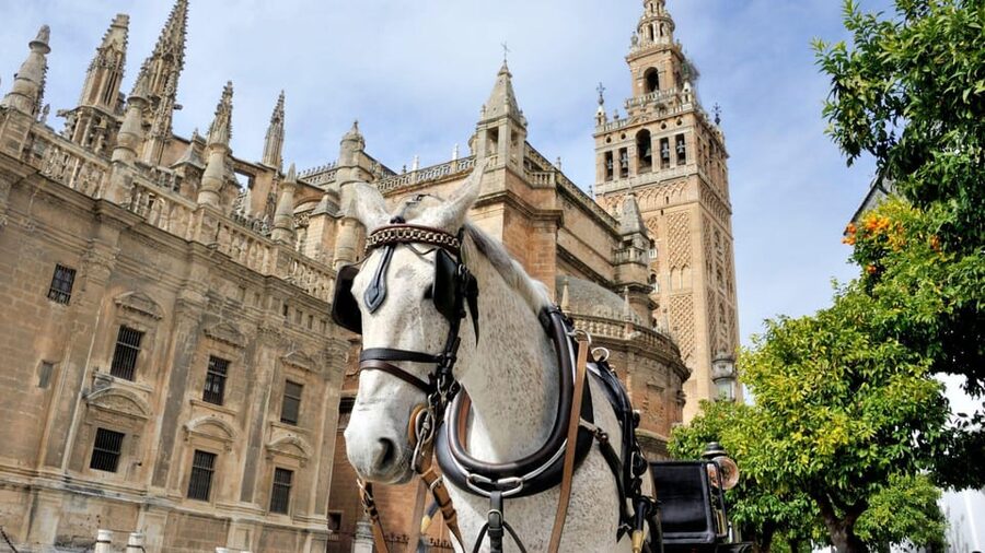 Best of Seville: Private Walking Tour with Local - Pedro, Cristina, and the human side of the walk
