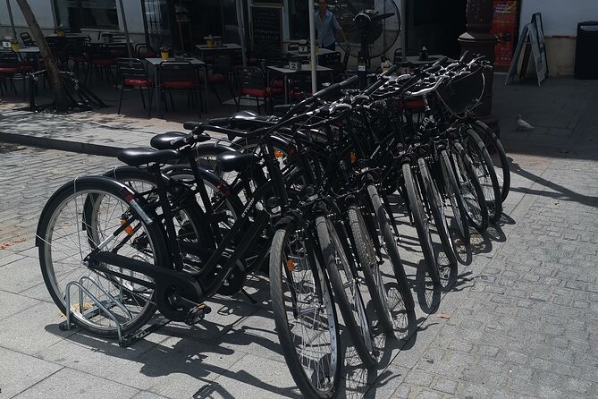 Bike rental day - What you receive for about $13.90
