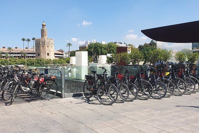 Bike Rental per Day in Seville - Why a bike makes sense in Seville