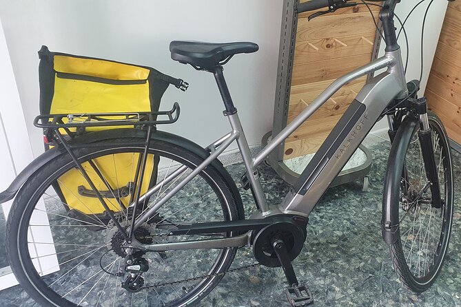 Bike Rental per Day in Seville - Riding through a large historic center