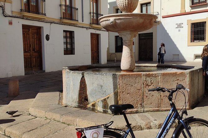 Bike Tour Córdoba - San Basilio’s patios and the Alcázar quarter