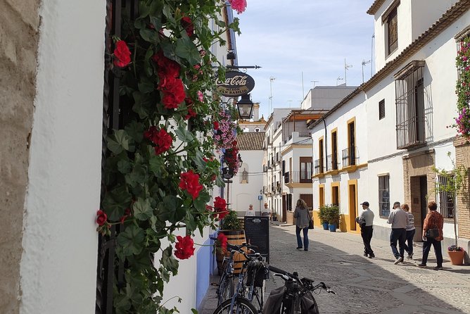 Bike Tour Córdoba - Palacio de Viana and the value of seeing from outside