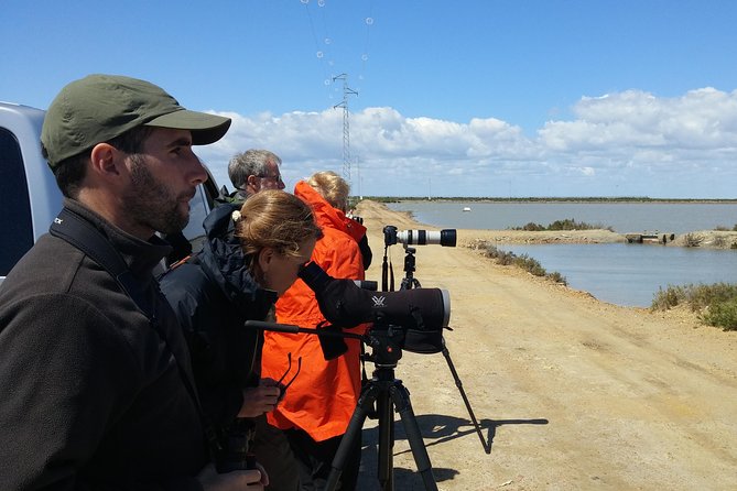 Birding & Photography Day Trip to Doñana from Seville - Marshes, flooded ground, and changing birding conditions