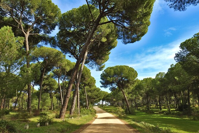 Birding & Photography Day Trip to Doñana from Seville - Who should book this Doñana outing?