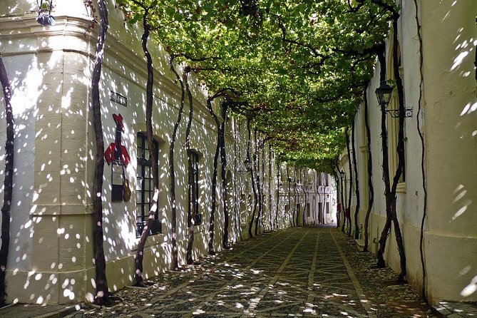 Cadiz and Jerez Day Trip from Seville - Transport, pickup points, and group size