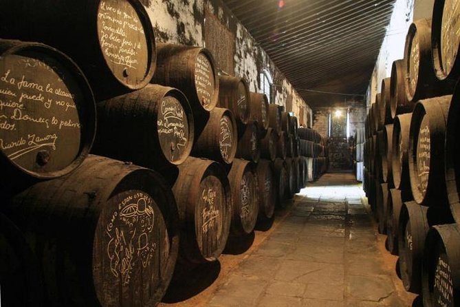 Cadiz and Jerez Day Trip from Seville - Is $119.48 good value?