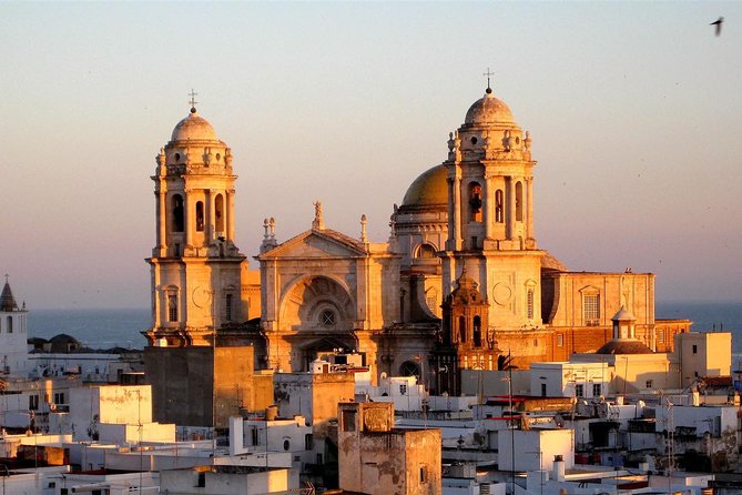 Cadiz and Jerez Day Trip from Seville - Jerez: more than a quick stop for sherry