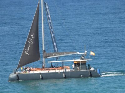Bay of Cádiz Catamaran Tour with Host