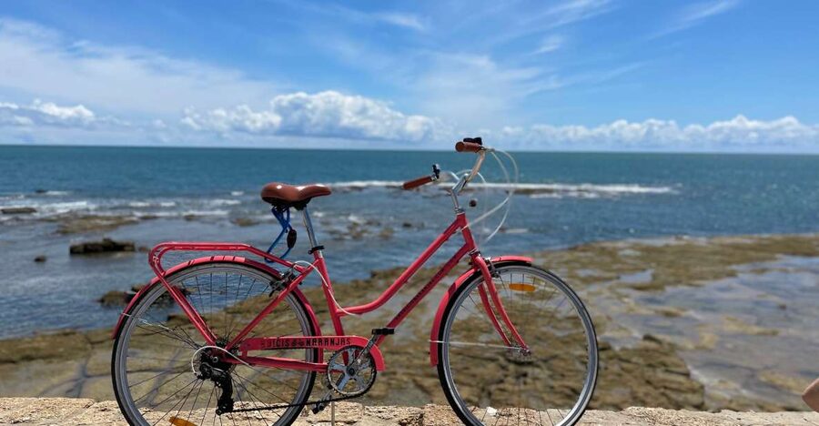 Cadiz: City Bike Tour - Who should book this Cádiz bike tour