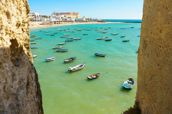 Cadiz: City Walk with Audio Guide in 7 Languages on your Phone - Starting beneath Cádiz Cathedral