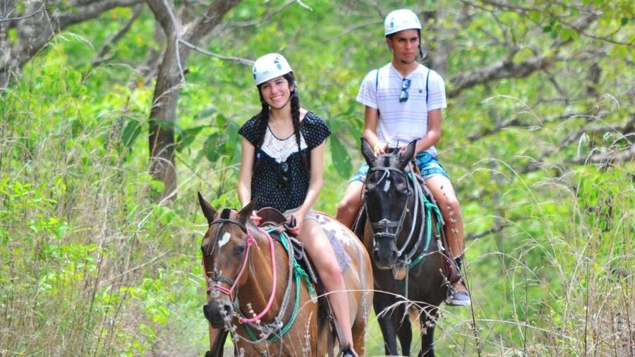 Cádiz Country side: Ride an Andalusian Horse - Meeting the horses near El Puerto de Santa María