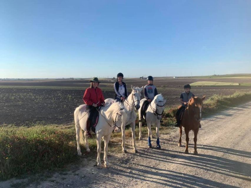 Cádiz Country side: Ride an Andalusian Horse - Is $235 a fair price?