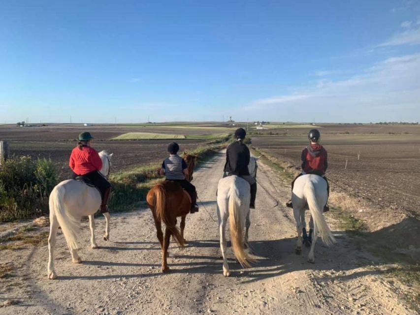 Cádiz Country side: Ride an Andalusian Horse - Matching you with the right Andalusian horse
