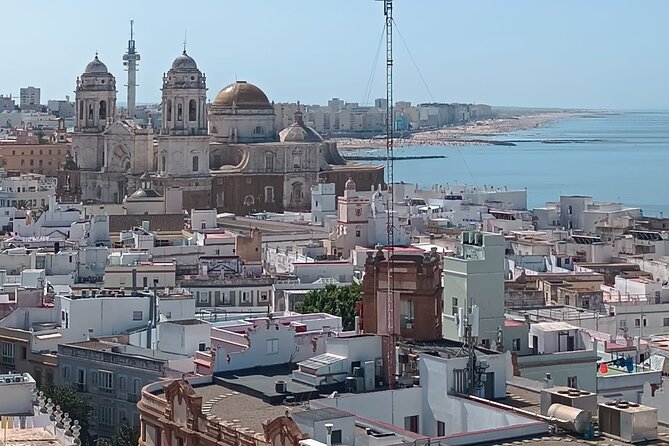 Cadiz Food Tour: Tapas, Drinks and Delights with a Local - What $90.74 buys you in Cádiz