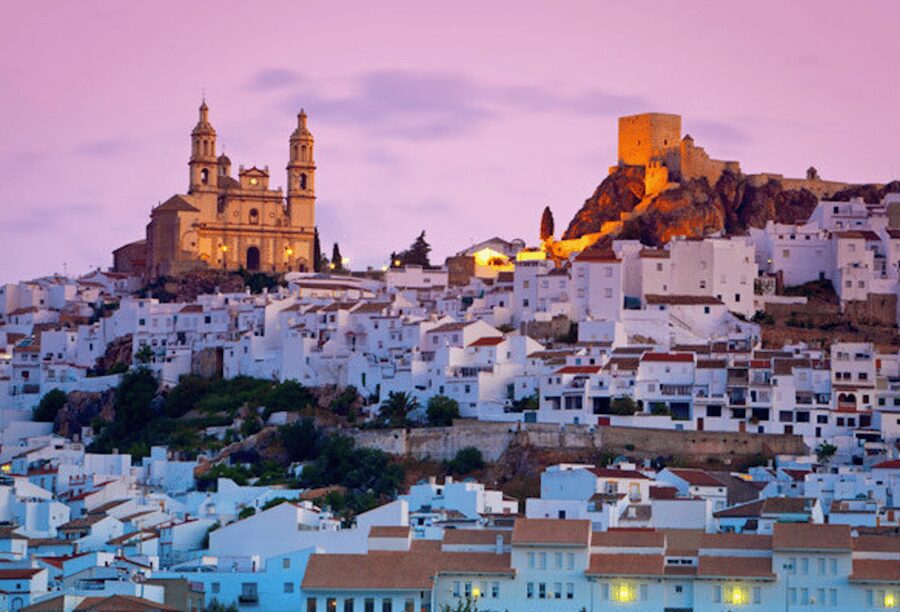 Cadiz, Jerez or El Puerto: White Towns of Andalusia Day Trip - A gentle first stop at Ribera Palace in Bornos