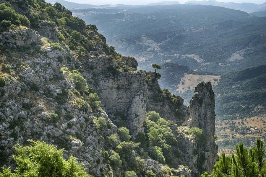 Cadiz, Jerez or El Puerto: White Towns of Andalusia Day Trip - Grazalema Natural Park from the bus