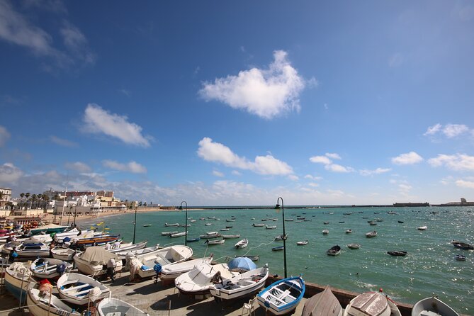Cadiz Private Walking Tour with a Local - Beaches, gardens, parks, and forts beyond the center