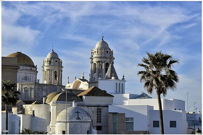 Cadiz Shore Excursion: Scenic & walking tour with cheese and sherry tasting - The final sherry and cheese tasting