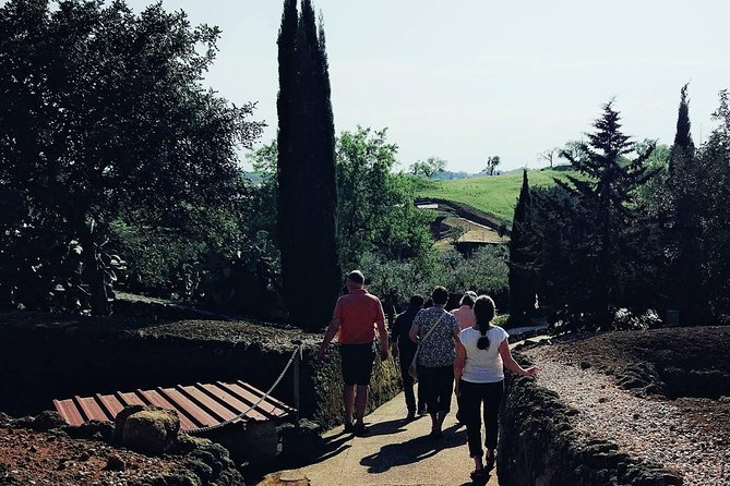 Carmona and Necropolis: Guided Day Tour from Seville - Booking, cancellations, and possible changes