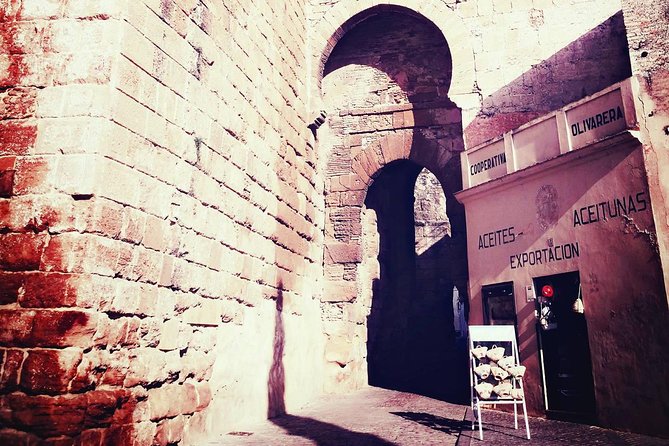 Carmona and Necropolis: Guided Day Tour from Seville - Starting from Seville with a short shared transfer