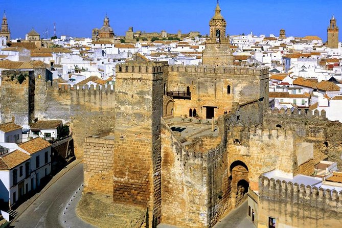 Carmona Roman Necropolis and History Walking Tour - Key points to know before you book